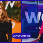 Fanny Fee Werther Gehalt